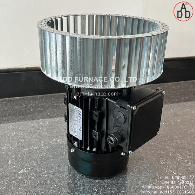 TYPE YE3-80M2-2 B5 With D250x84-D19 Fan Wheel (14)